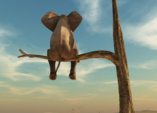 Největší lidskou brzdou umí být špatná představivosti.