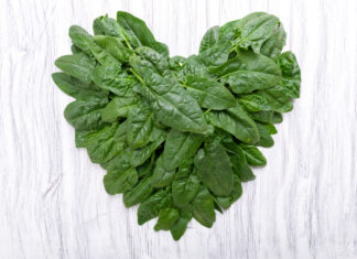 Srdce vyrobené ze špenátu – vědci využili rostlinu na srdeční tkáň.